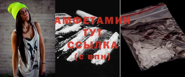 индика Осташков