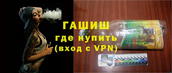 индика Осташков