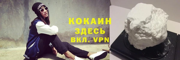 индика Осташков
