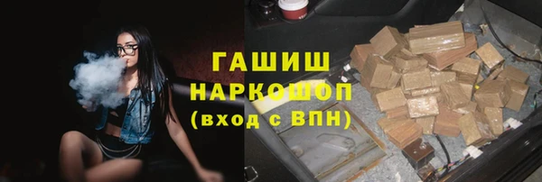 индика Осташков