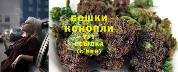 бошки Осинники