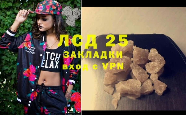индика Осташков