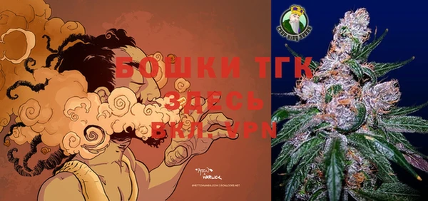 бошки Осинники