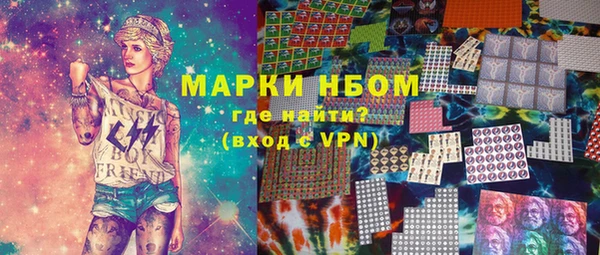 индика Осташков
