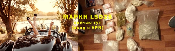 индика Осташков