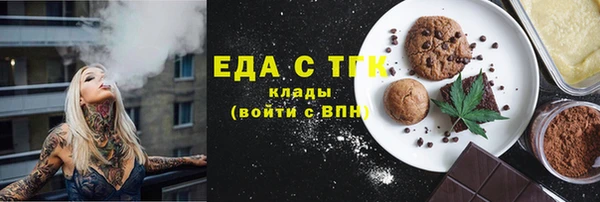 индика Осташков