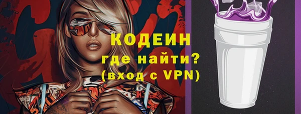 индика Осташков