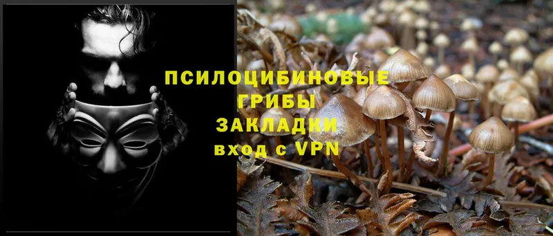 Галлюциногенные грибы Magic Shrooms  наркошоп  Касли 